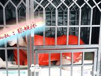 宗師級玩家SM界塔尖反差婊女奴【張婉依】地獄式重度調教乳頭穿釘、抽逼、電擊各種整活