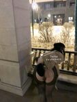 推特巨乳網紅『芙烈亞』大尺度露出私拍 各種場所露出 商場街道 全裸爬樓道
