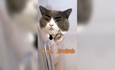 宗師級玩家SM界塔尖反差婊女奴【張婉依】地獄式重度調教乳頭穿釘、抽逼、電擊各種整活 (17)